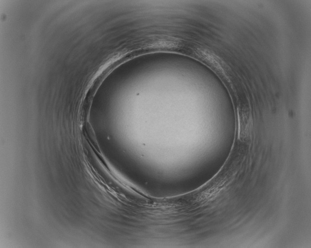 X0000067520435200604071325