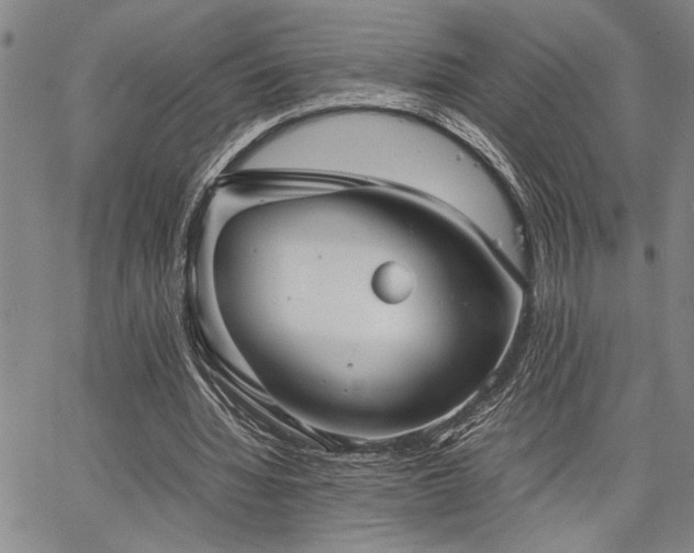 X0000067520436200604071325