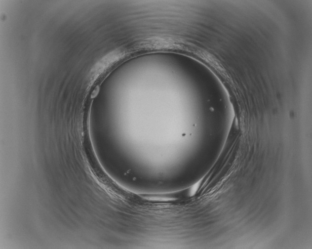 X0000067520438200604071325