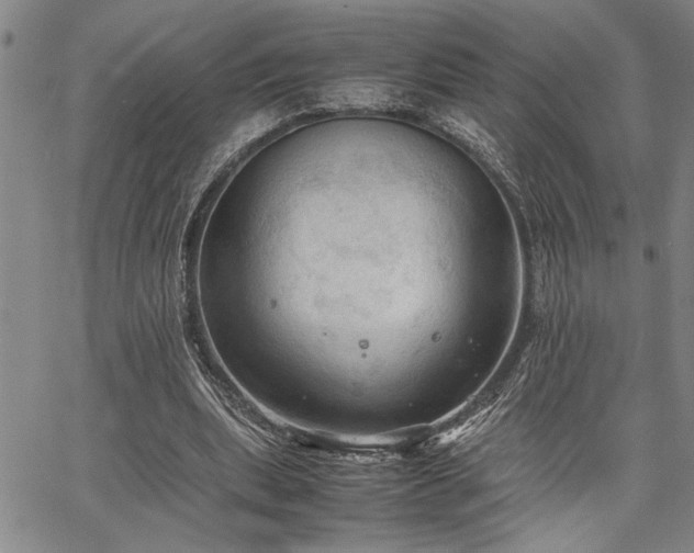 X0000067520439200604071325