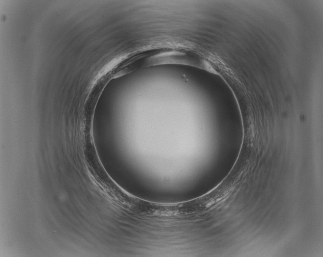 X0000067520440200604071325