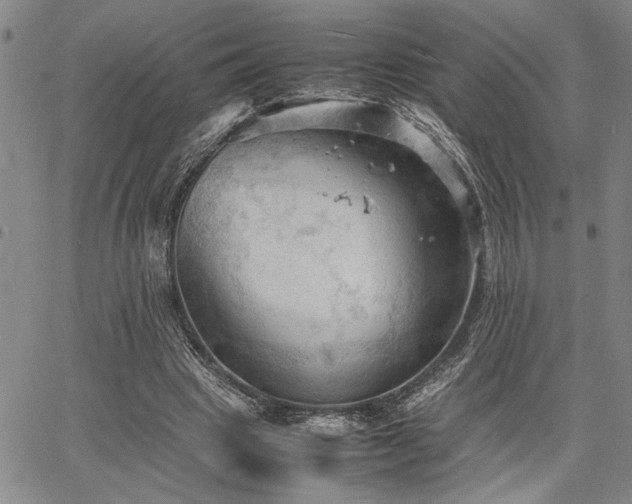 X0000067520441200604071325