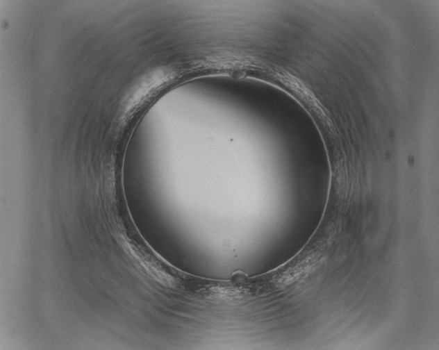 X0000067520442200604071325