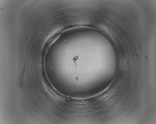 X0000067520443200604071325