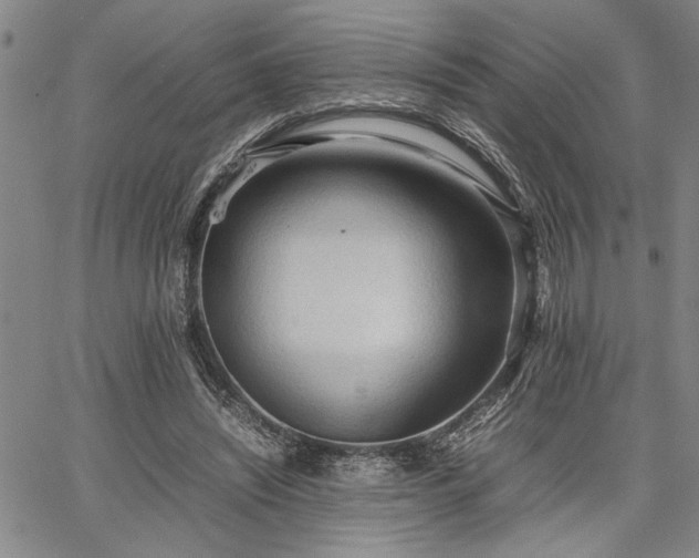 X0000067520444200604071325