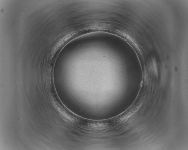 X0000067520445200604071325