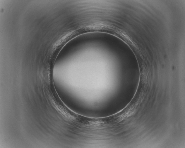 X0000067520446200604071325