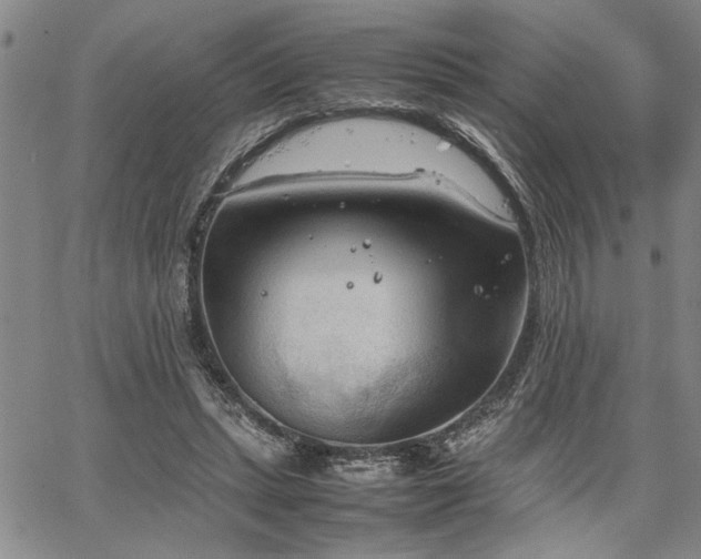 X0000067520447200604071325