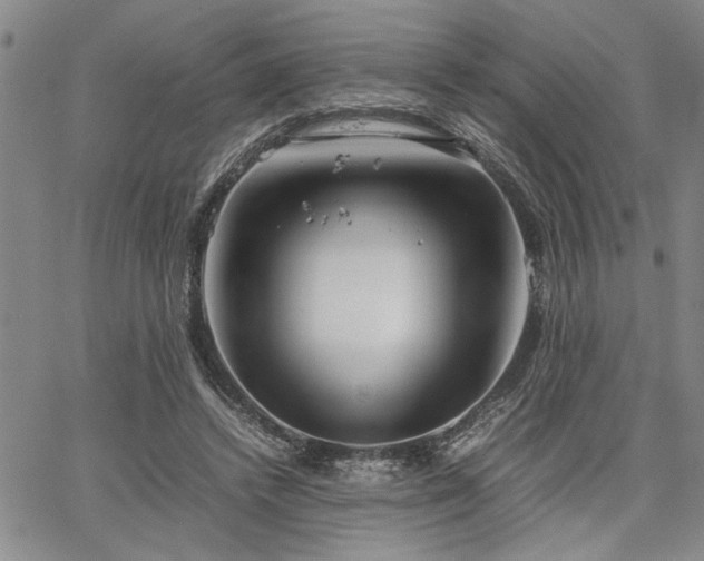 X0000067520448200604071325