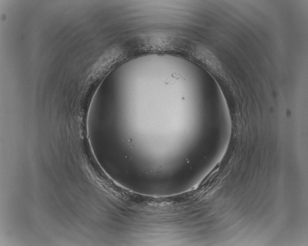 X0000067520450200604071325