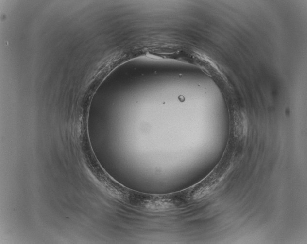 X0000067520451200604071325