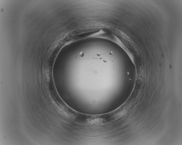 X0000067520452200604071325