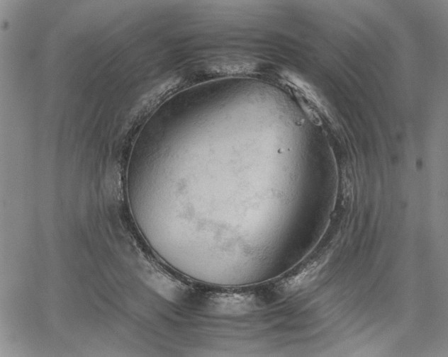 X0000067520453200604071325