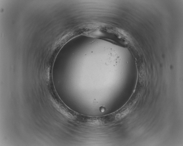 X0000067520454200604071325