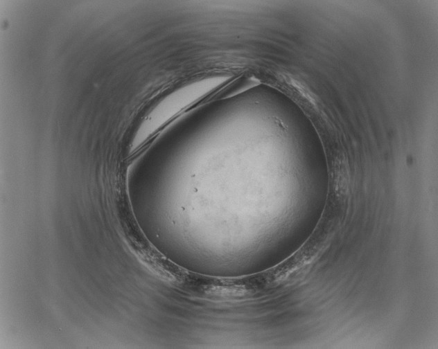 X0000067520455200604071325