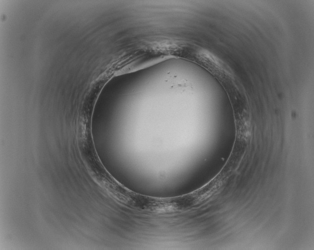 X0000067520456200604071325