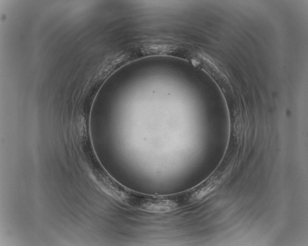 X0000067520459200604071325