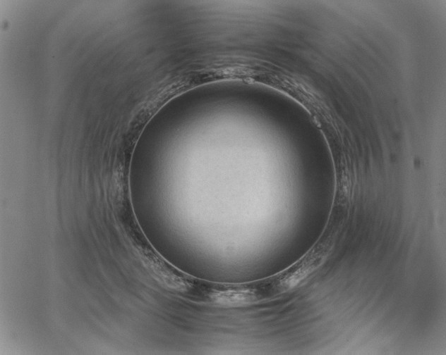 X0000067520461200604071325