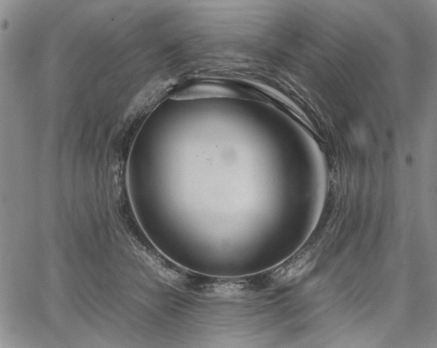 X0000067520462200604071326