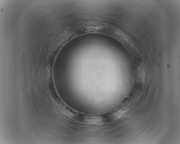 X0000067520463200604071326