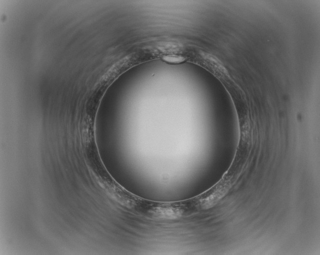 X0000067520464200604071326