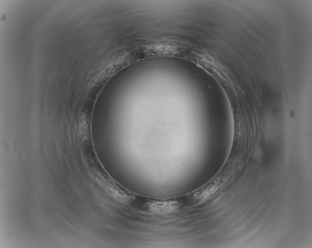 X0000067520465200604071326