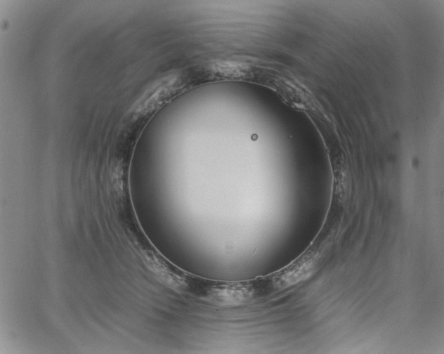 X0000067520466200604071326