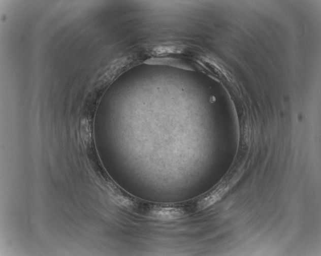 X0000067520467200604071326