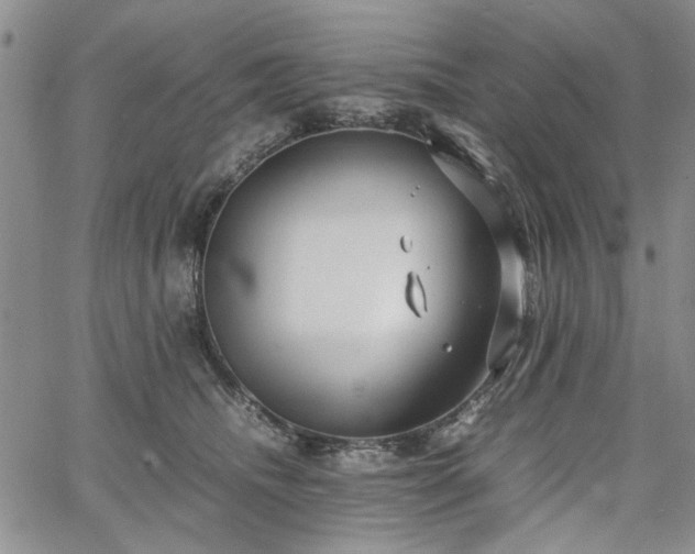 X0000067520468200604071326