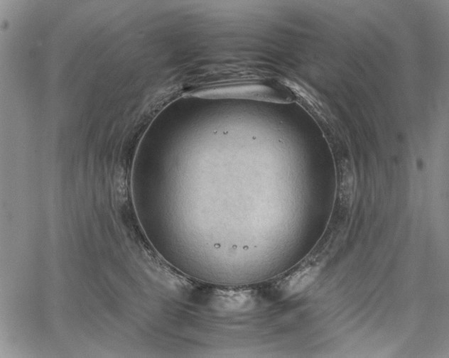 X0000067520469200604071326