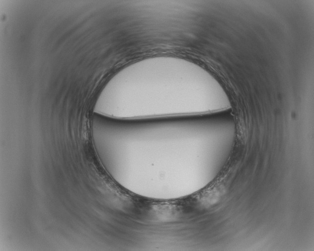 X0000067520470200604071326