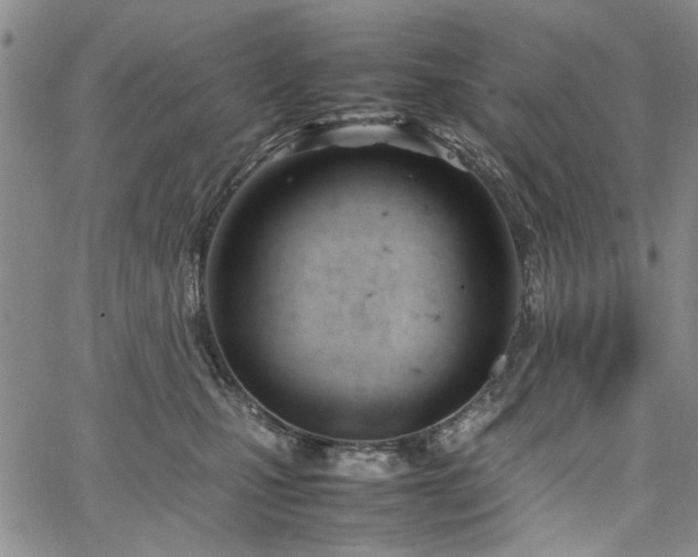 X0000067520471200604071326