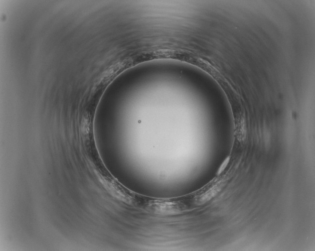 X0000067520472200604071326