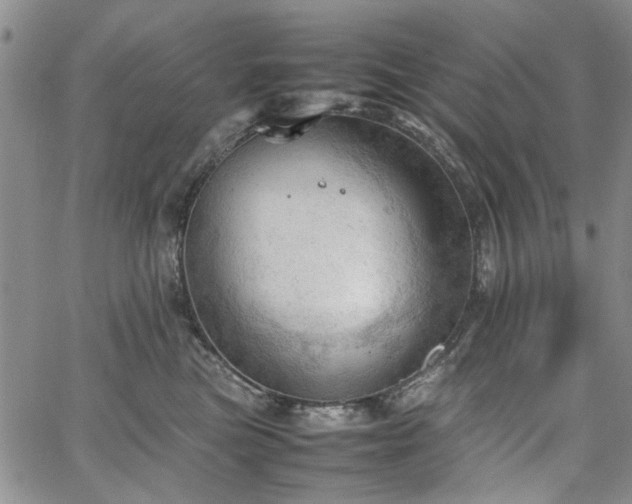 X0000067520473200604071326