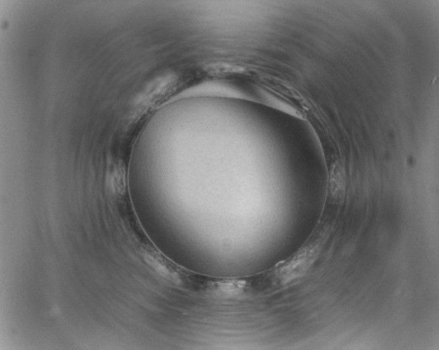 X0000067520474200604071326