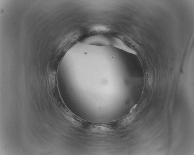 X0000067520475200604071326