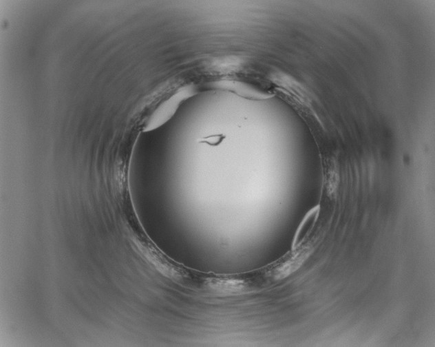 X0000067520476200604071326