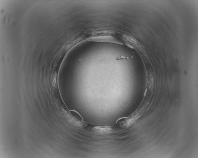 X0000067520477200604071326