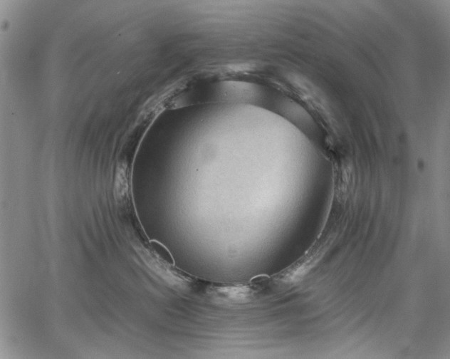 X0000067520478200604071326