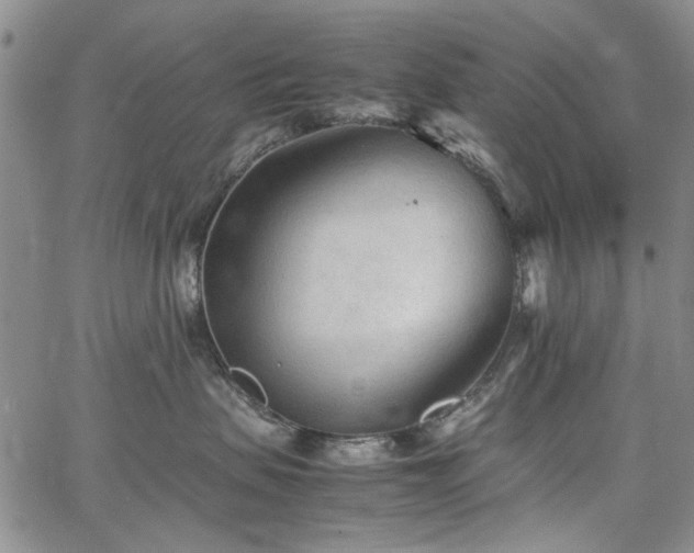 X0000067520479200604071326