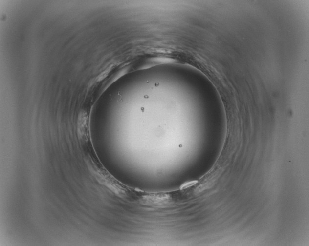 X0000067520480200604071326