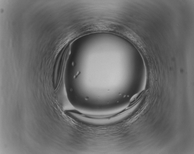 X0000067520481200604071325