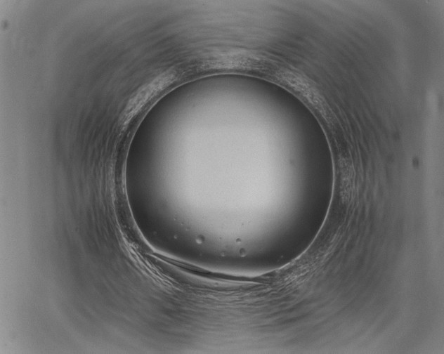 X0000067520482200604071325