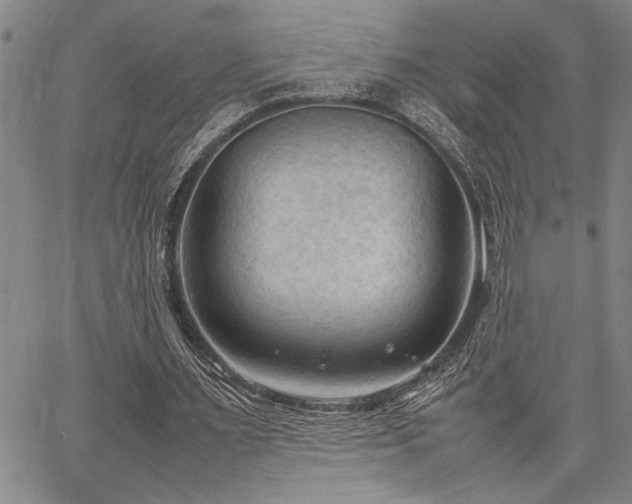 X0000067520483200604071325