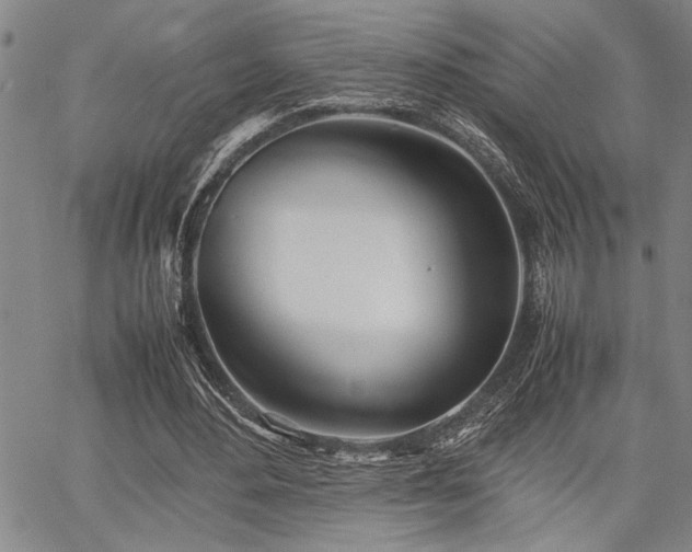 X0000067520484200604071325