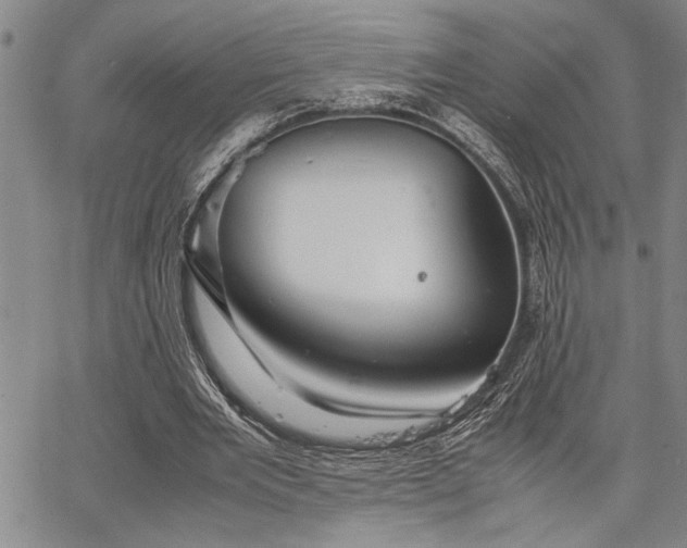 X0000067520485200604071325