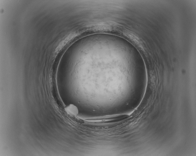 X0000067520487200604071325