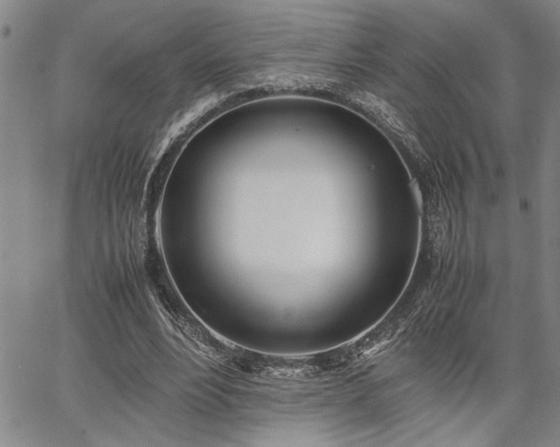 X0000067520488200604071325