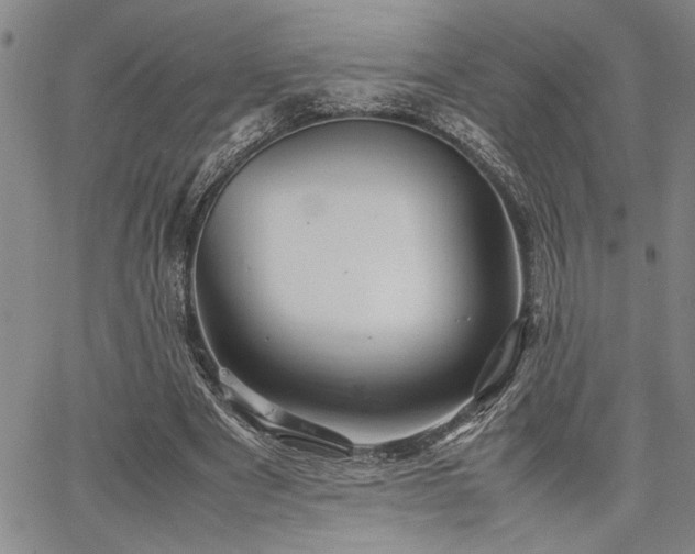 X0000067520489200604071325