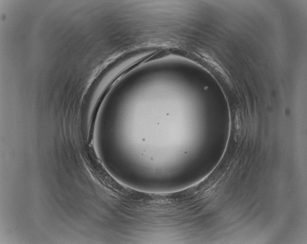 X0000067520492200604071325